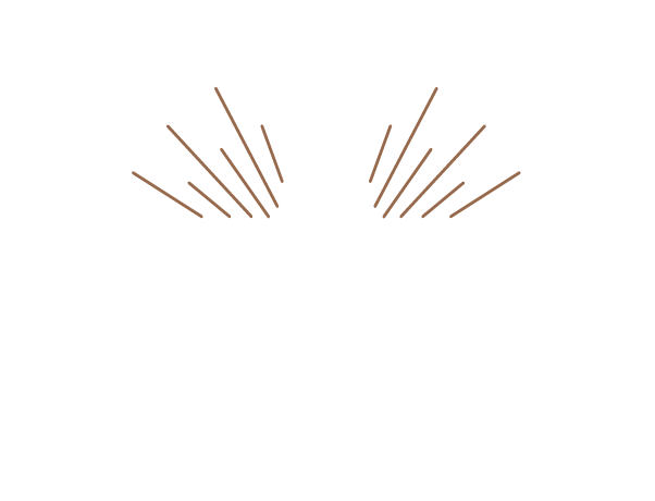 Kingfisher Grooming Co.